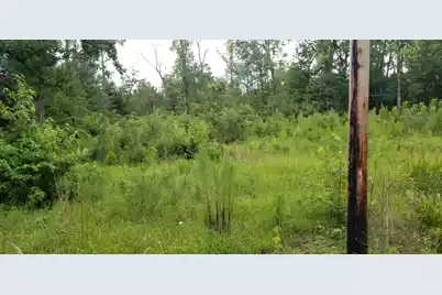 4942 Jacksonboro Road, Round O, SC 29474 - Photo 1