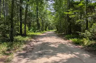 1871 Bellfield Rd, McClellanville, SC 29458 - Photo 1