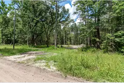 98 Manatee Lane, Green Pond, SC 29446 - Photo 1