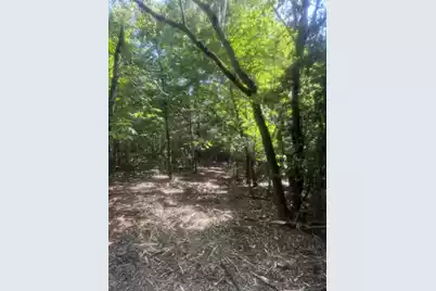 Hhf 1 Old Georgetown Road W #Hhf 1, Westville, SC 29175 - Photo 1