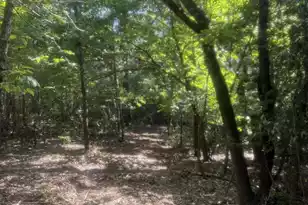 Hhf 1 Old Georgetown Road W #Hhf 1, Westville, SC 29175 - Photo 1