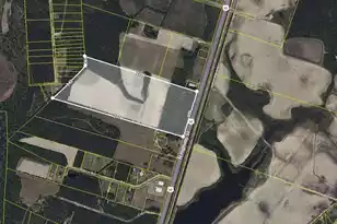 0 Hwy 52 N, Saint Stephen, SC 29479 - Photo 1