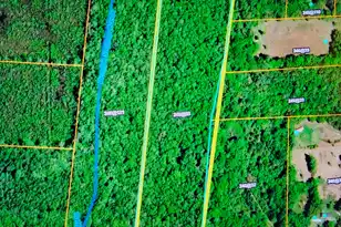 0Aa Ritter Rd, Ritter, SC 29488 - Photo 1