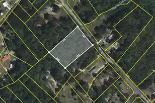 0 Alexander Circle, Summerville, SC 29486 - Photo 1