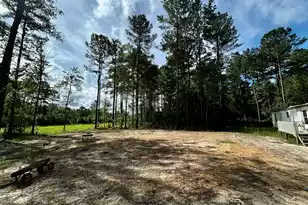 120 Harmony Hall Ln, Round O, SC 29474 - Photo 1