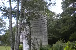 340 Ridge Rd, Ridgeville, SC 29472 - Photo 1