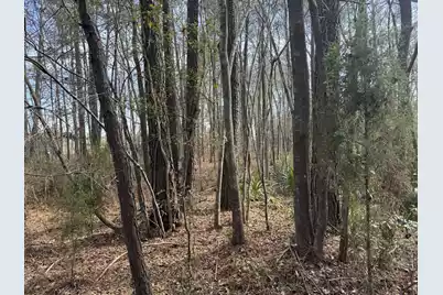 0 Branton Lane, Moncks Corner, SC 29461 - Photo 1