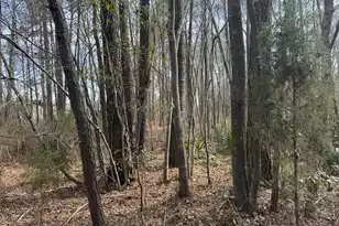 0 Branton Ln, Moncks Corner, SC 29461 - Photo 1