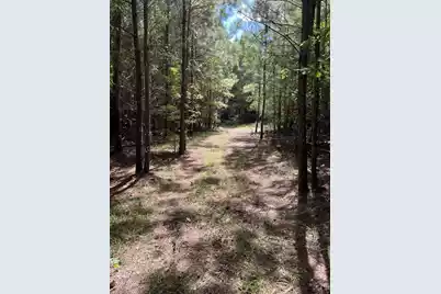 00 Cherry Hill Road, Orangeburg, SC 29115 - Photo 1