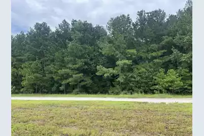 0 Herring Drive, Manning, SC 29102 - Photo 1