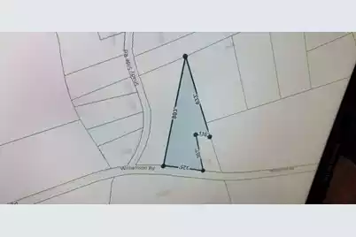 000 Shady Side Lane, Hemingway, SC 29554 - Photo 1