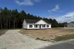 461 Reeves Farm Rd, Saint George, SC 29477 - Photo 1