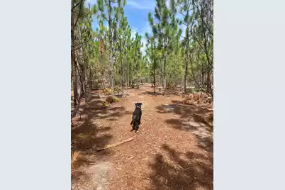 Ppf 10 Payne Pond Road #Ppf 10, Westville, SC 29175 - Photo 1