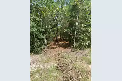 Ppf 11 Payne Pond Road #Ppf 11, Westville, SC 29175 - Photo 1