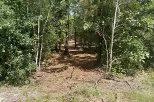 Ppf 11 Payne Pond Road #Ppf 11, Westville, SC 29175 - Photo 1