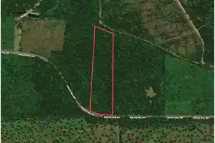 1 Mauss Hill Rd, Adams Run, SC 29426 - Photo 1