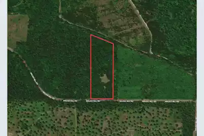 5496 Mauss Hill Road, Adams Run, SC 29426 - Photo 1