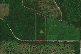 5496 Mauss Hill Rd, Adams Run, SC 29426 - Photo 1