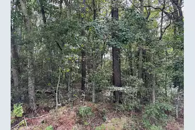 0 Wertz Street, Orangeburg, SC 29115 - Photo 1