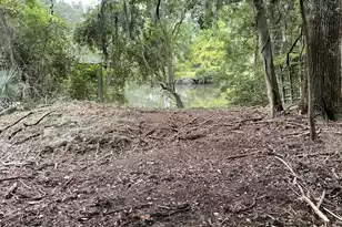 210 Childsbury Dr, Moncks Corner, SC 29461 - Photo 1