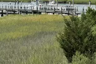 3701 Dock Site Rd-1/4 Fractional, Edisto Beach, SC 29438 - Photo 1