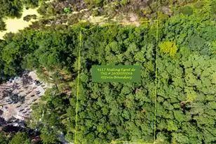 4117 Nesting Egret Dr, Johns Island, SC 29455 - Photo 1