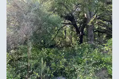 Tbd Black Avenue, Bamberg, SC 29003 - Photo 1