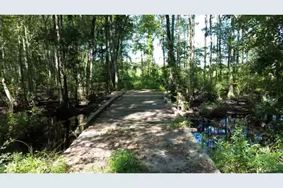 0 Lowcountry Highway, Ruffin, SC 29475 - Photo 1