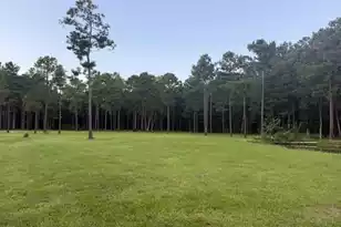 00 Myers Mayo Lot 4 Rd, Ridgeville, SC 29472 - Photo 1