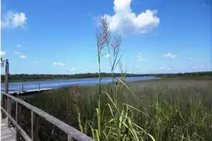 4543 Great Oak Dr, North Charleston, SC 29418 - Photo 1