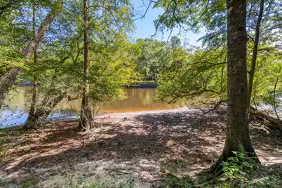 139 Badger Lane, Round O, SC 29474 - Photo 1