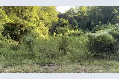 909 Black Street, Walterboro, SC 29488 - Photo 1
