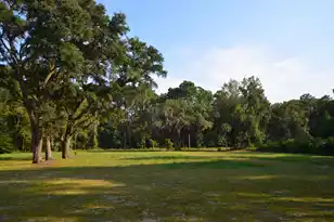 564 Dupre Rd, McClellanville, SC 29458 - Photo 1