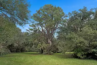 7817 Little Britton Road, Meggett, SC 29449 - Photo 19