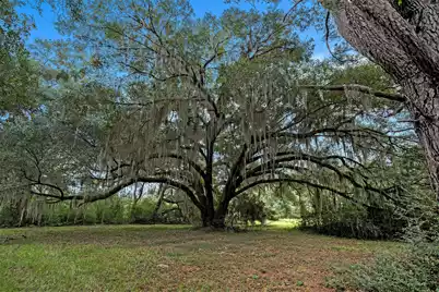 7817 Little Britton Road, Meggett, SC 29449 - Photo 21
