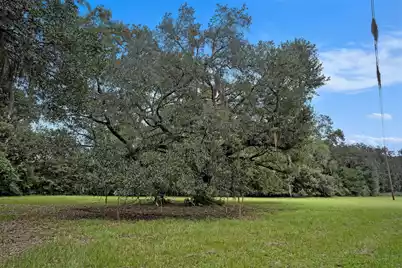 7817 Little Britton Road, Meggett, SC 29449 - Photo 23