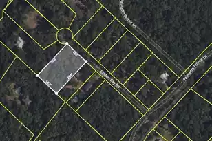 0 Cotton Bay Ct #Lot 1B-B, Edisto Island, SC 29438 - Photo 1