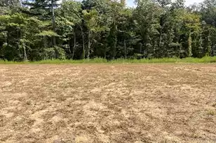 452 Tulip Poplar Dr, Moncks Corner, SC 29461 - Photo 1