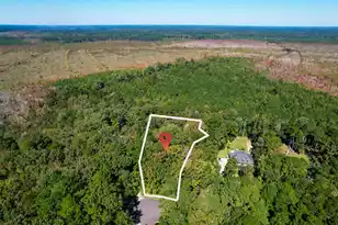 6682 Pepper Grass Trl, Ravenel, SC 29470 - Photo 1