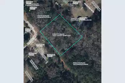 00 Delano Street, Orangeburg, SC 29115 - Photo 1