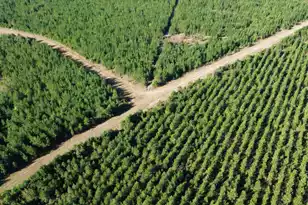 24 Hwy 311, Cross, SC 29436 - Photo 1