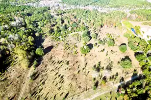 00 Virginia Rd, Dorchester, SC 29437 - Photo 1