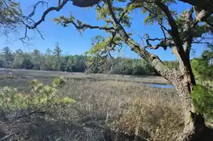 3675 Chisolm Rd, Johns Island, SC 29455 - Photo 1