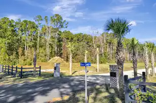 3027 Doar Creek Trail, Awendaw, SC 29429 - Photo 1