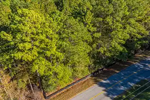 00 Lindy Creek Rd, Goose Creek, SC 29445 - Photo 1