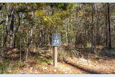 28 Buttonbush Drive, Ravenel, SC 29470 - Photo 1