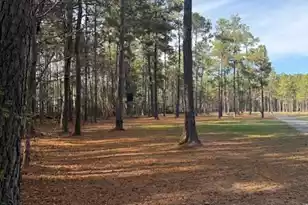 00 Myers Mayo Road #Lot 2, Ridgeville, SC 29472 - Photo 1