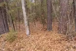 3323 Prices Bridge Ln, Walterboro, SC 29488 - Photo 1