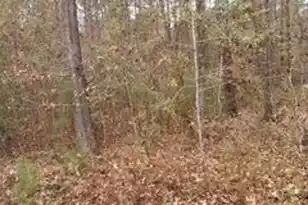 Lot 206 Prices Bridge Ln, Walterboro, SC 29488 - Photo 1