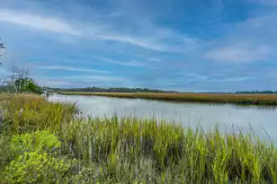 8737 Peters Point Rd, Edisto Island, SC 29438 - Photo 1
